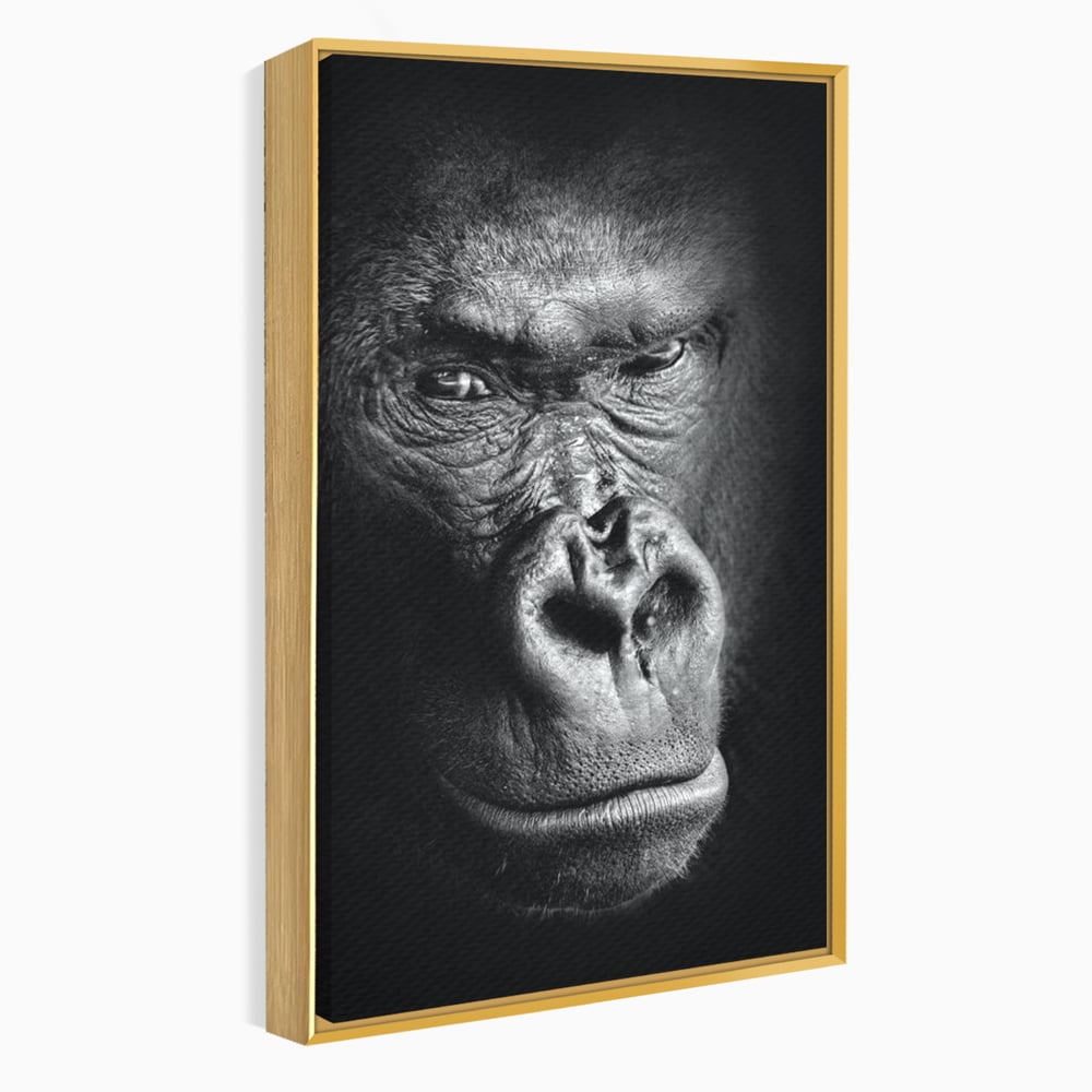 Tablou canvas cu tablou canvas cu portret de gorila, in rama de aluminiu auriu